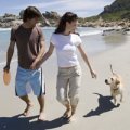 Picture of couple and dog on the beach