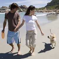 Picture of couple and dog on the beach