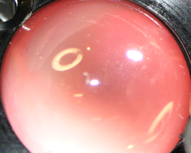 Image of Nanobeam lens